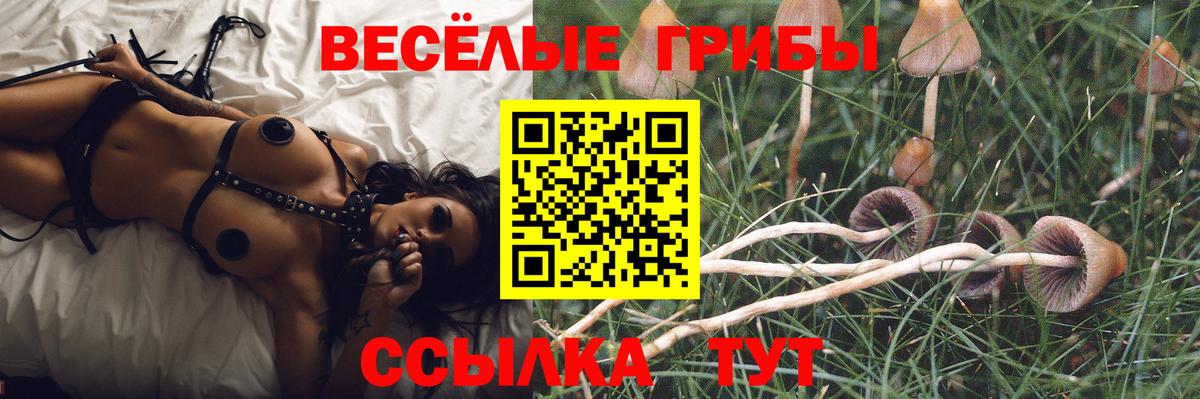Галлюциногенные грибы Psilocybe  Галлюциногенные грибы Magic Shrooms  Вход с VPN  Бугуруслан 